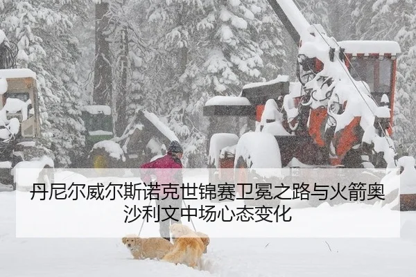 dan-ni-er-wei-er-si-nuo-ke-shi-jin-sai-wei-mian-zhi-lu-yu-huo-jian-ao-sha-li-wen-zhong-chang-xin-tai-bian-hua-2-692.jpg