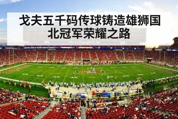 戈夫五千码传球铸造雄狮国北冠军荣耀之路