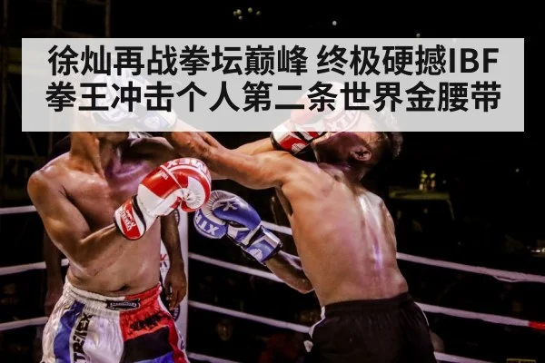 徐灿再战拳坛巅峰 终极硬撼IBF拳王冲击个人第二条世界金腰带